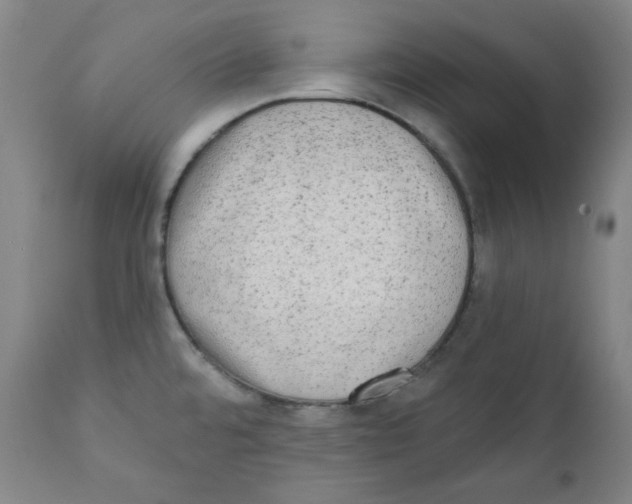 X0000111221480200907231429