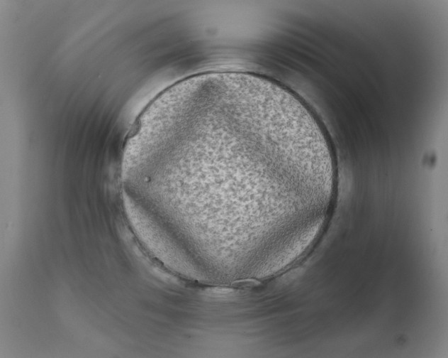 X0000111221481200907231429
