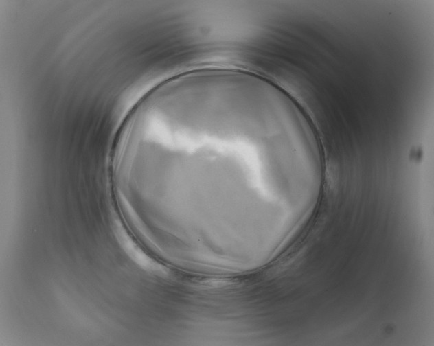 X0000111221482200907231429