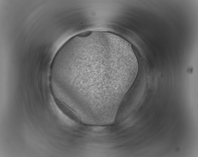 X0000111221484200907231429