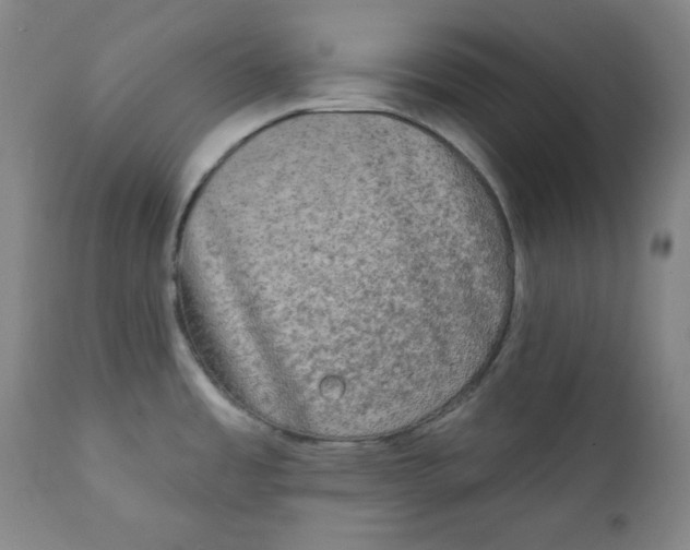 X0000111221485200907231429