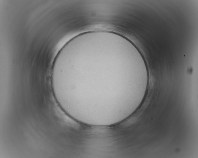 X0000111221486200907231429