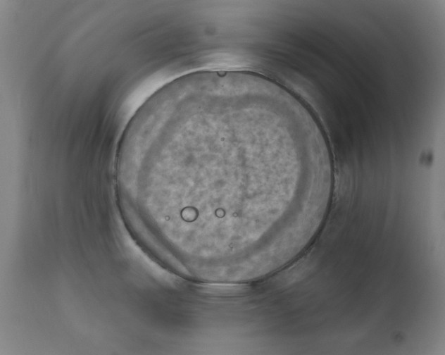 X0000111221487200907231429