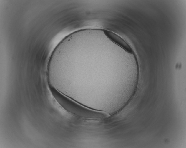 X0000111221488200907231429