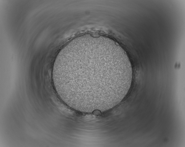X0000111221489200907231428
