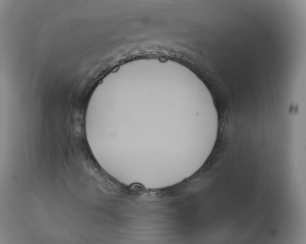 X0000111221490200907231428