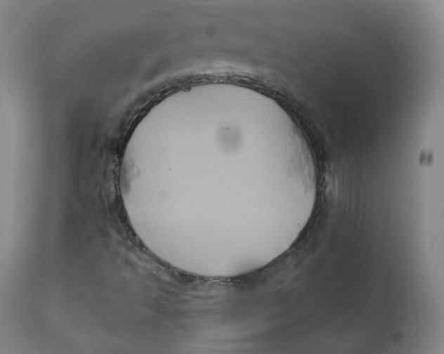 X0000111221493200907231428