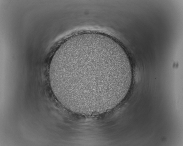 X0000111221494200907231428