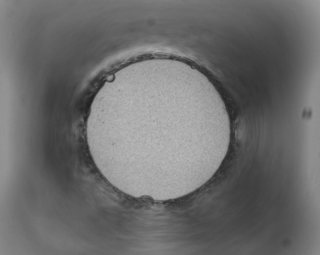 X0000111221495200907231428