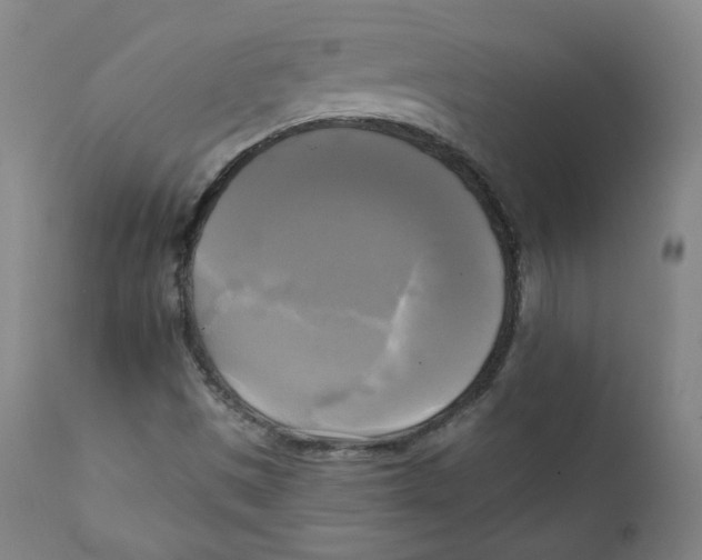 X0000111221497200907231428