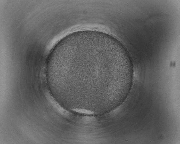X0000111221498200907231428