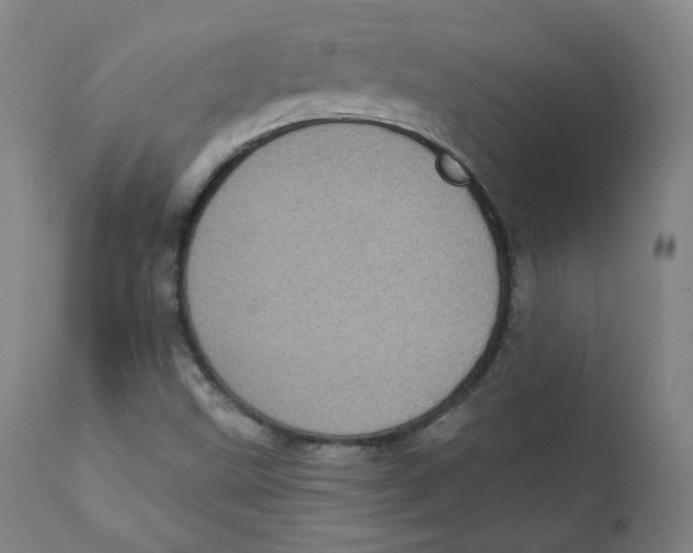 X0000111221499200907231428