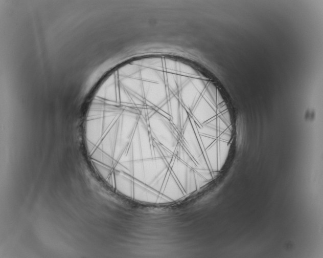 X0000111221501200907231428