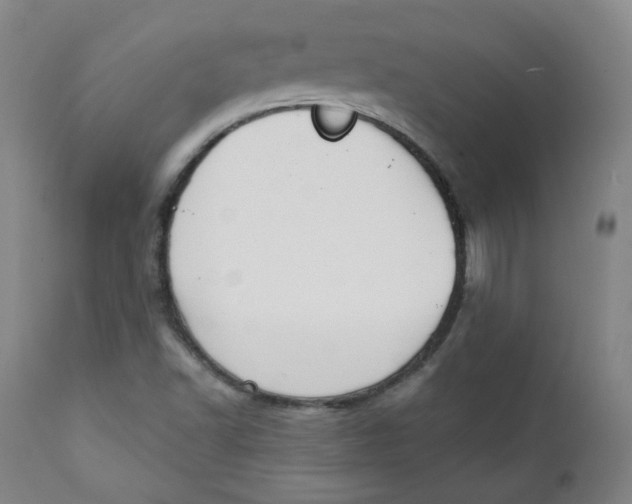 X0000111221502200907231428