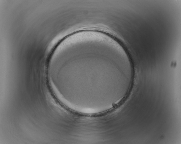 X0000111221506200907231428