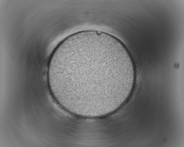 X0000111221507200907231428