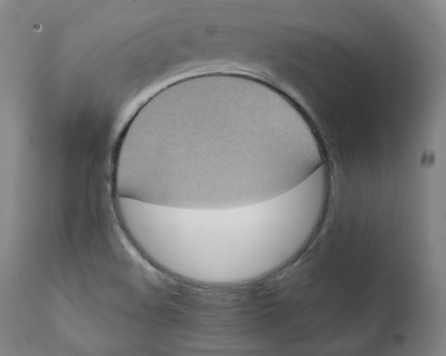 X0000111221508200907231428
