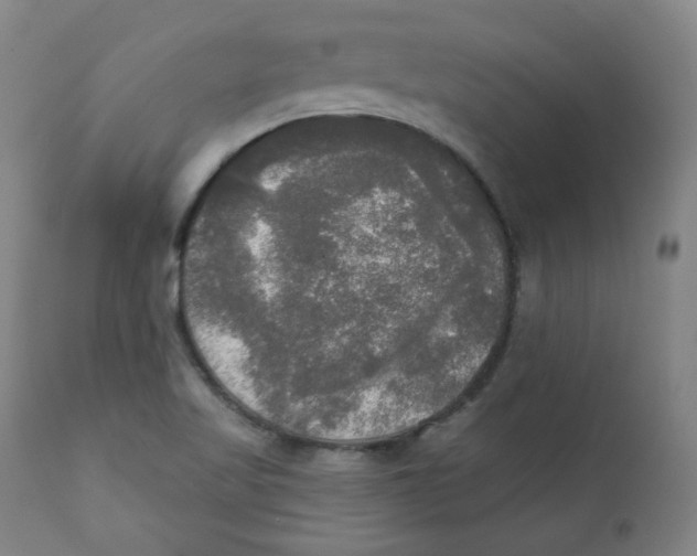X0000111221509200907231428