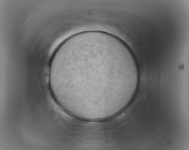 X0000111221510200907231428