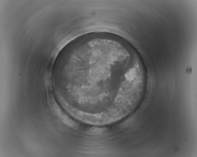 X0000111221513200907231428