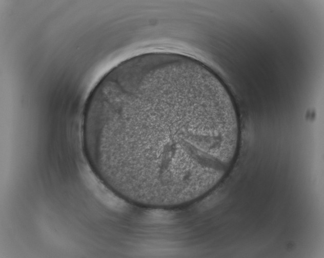 X0000111221514200907231428