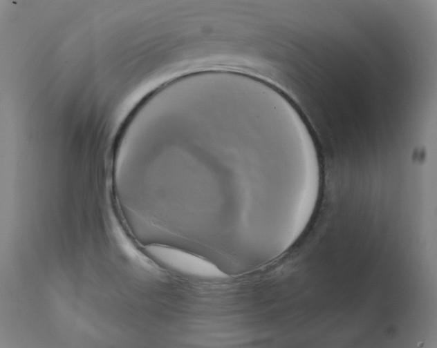 X0000111221515200907231428