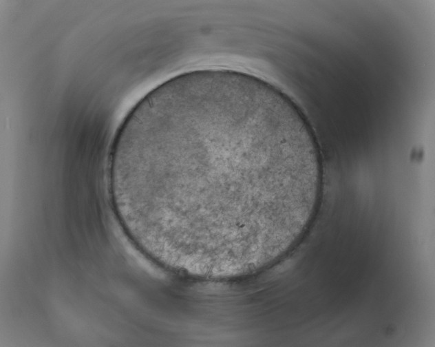 X0000111221517200907231428
