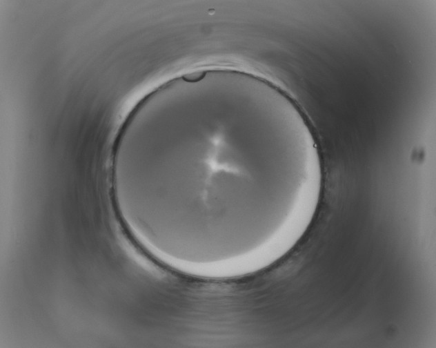 X0000111221519200907231428