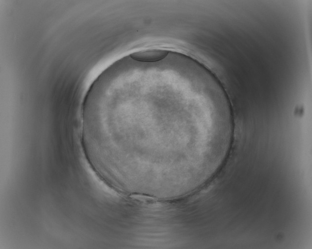 X0000111221520200907231429