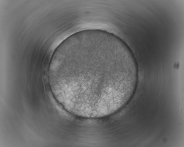 X0000111221521200907231429