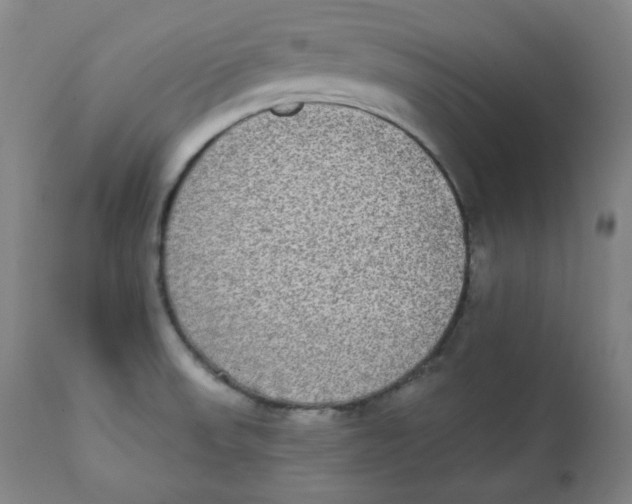 X0000111221523200907231429