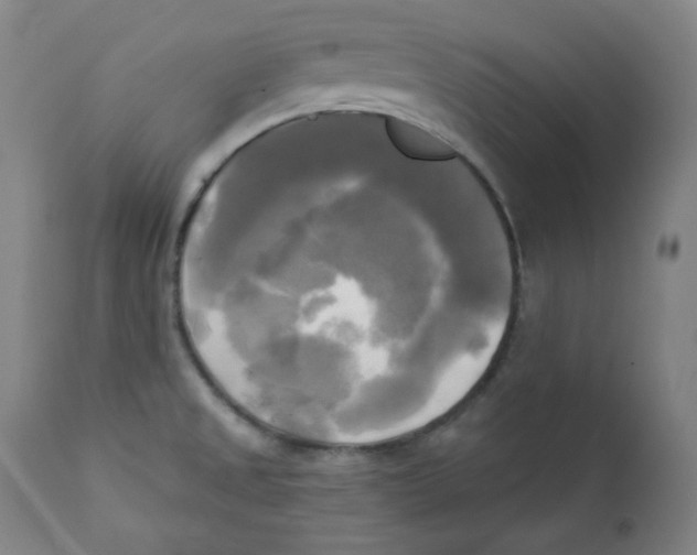 X0000111221525200907231429
