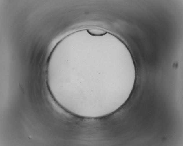 X0000111221526200907231429