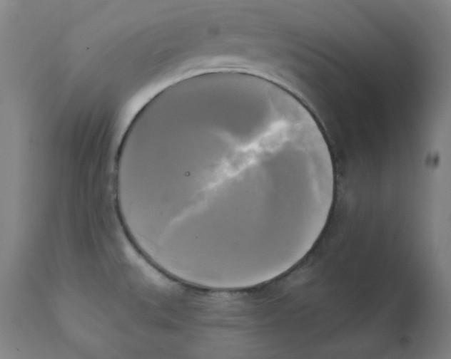 X0000111221527200907231429
