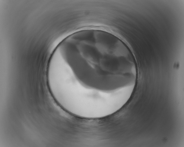 X0000111221533200907231429