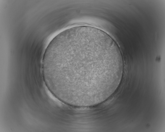 X0000111221535200907231429