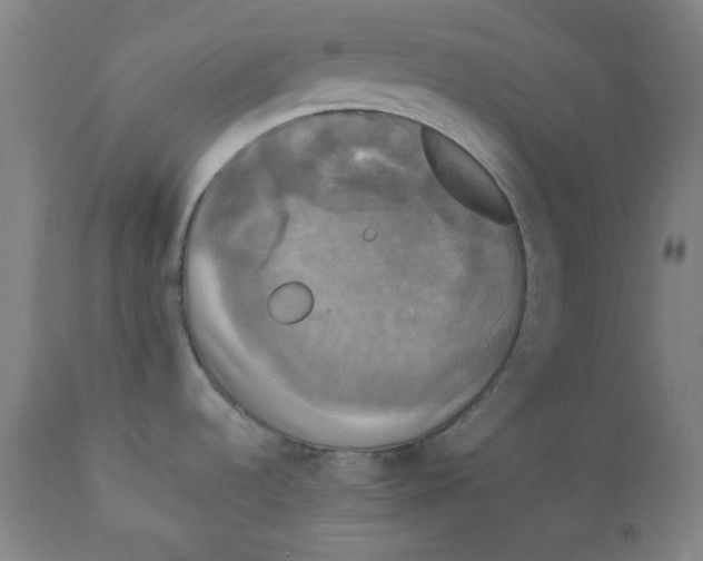 X0000111221536200907231429