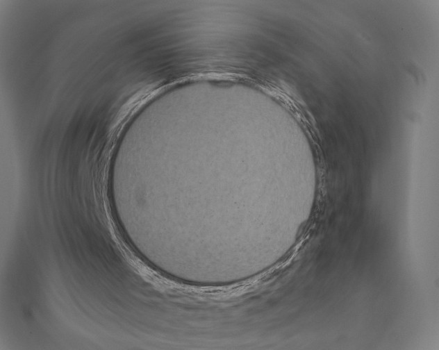 X0000111220001200907301235