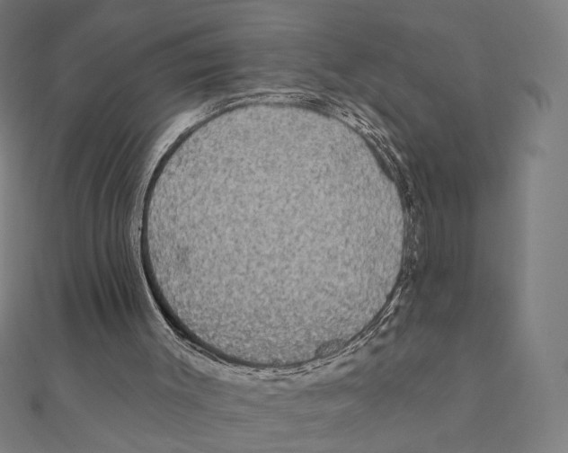X0000111220003200907301235