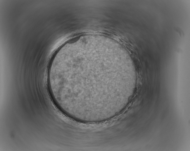 X0000111220005200907301235