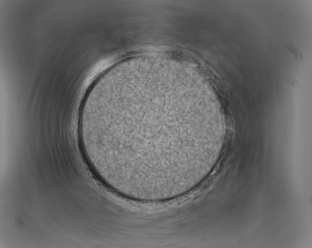 X0000111220006200907301235