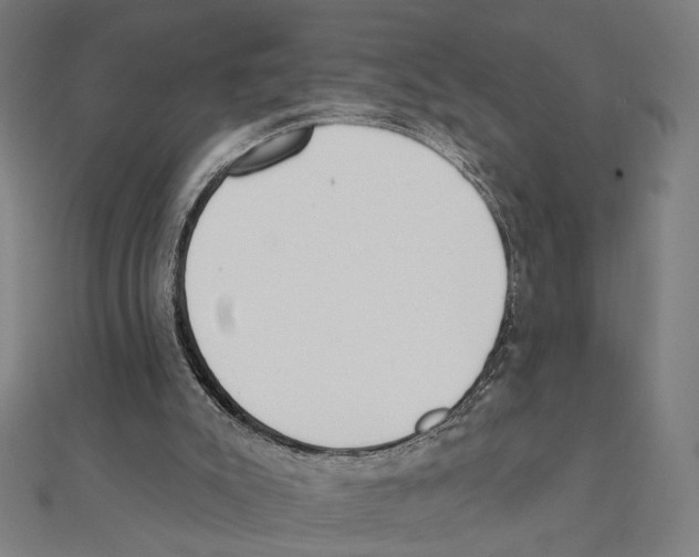 X0000111220007200907301235