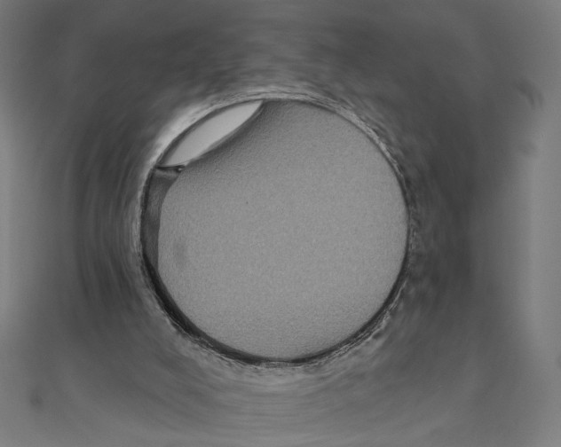 X0000111220008200907301235