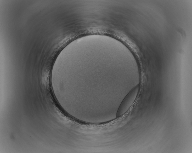 X0000111220009200907301235