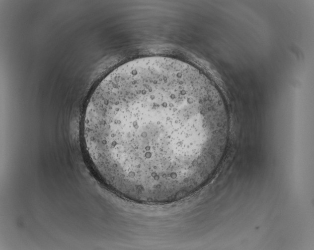 X0000111220010200907301235