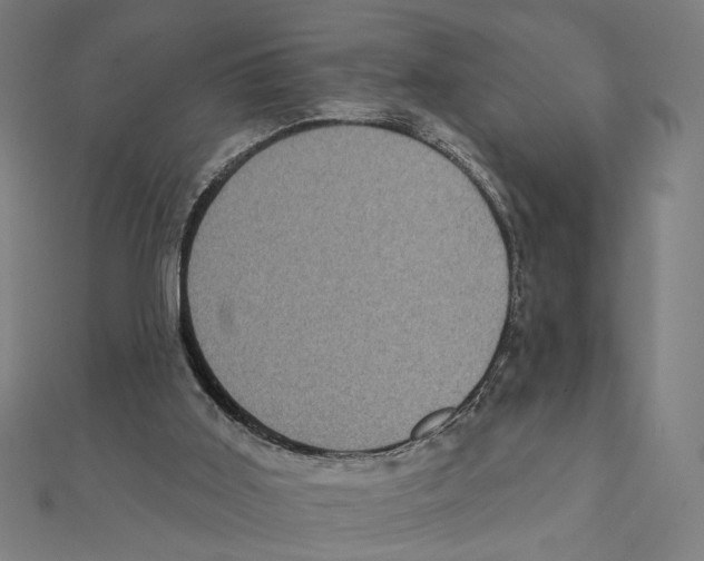 X0000111220011200907301235
