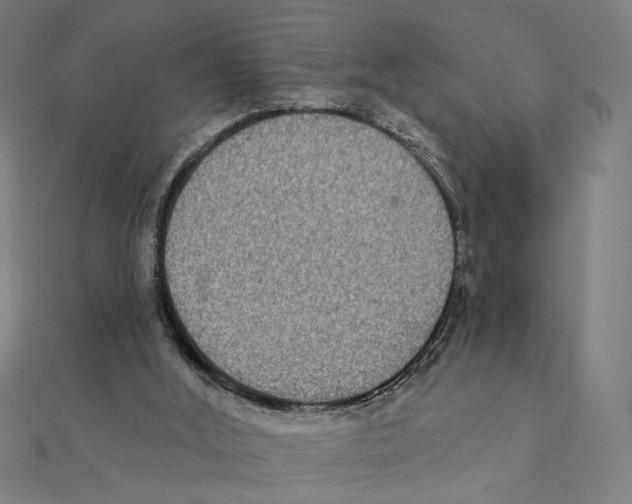 X0000111220012200907301235