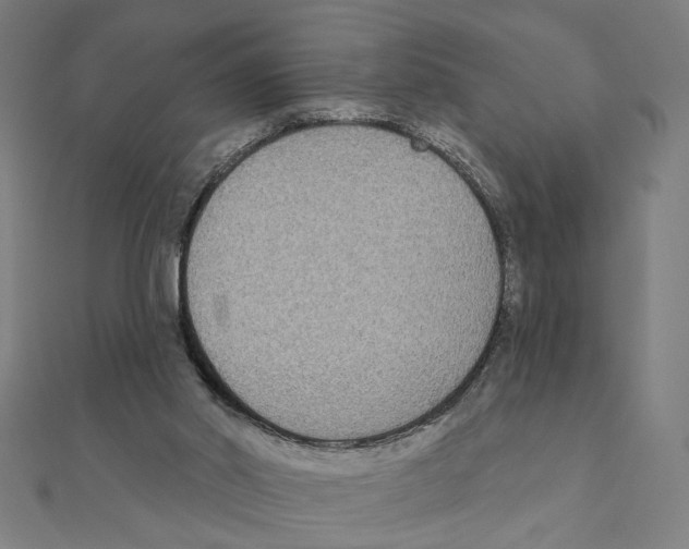 X0000111220014200907301235