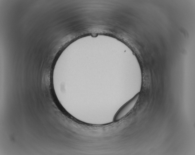 X0000111220015200907301235