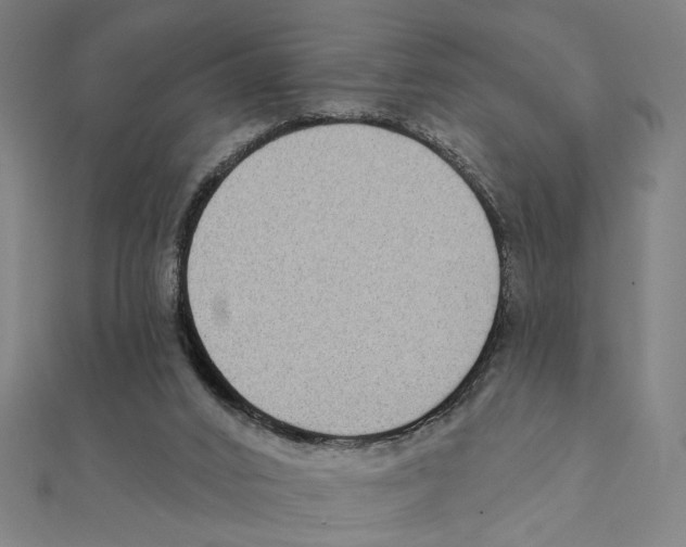 X0000111220016200907301235